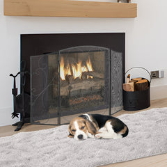 Fireplace Screen 1 Panel with Door Iron