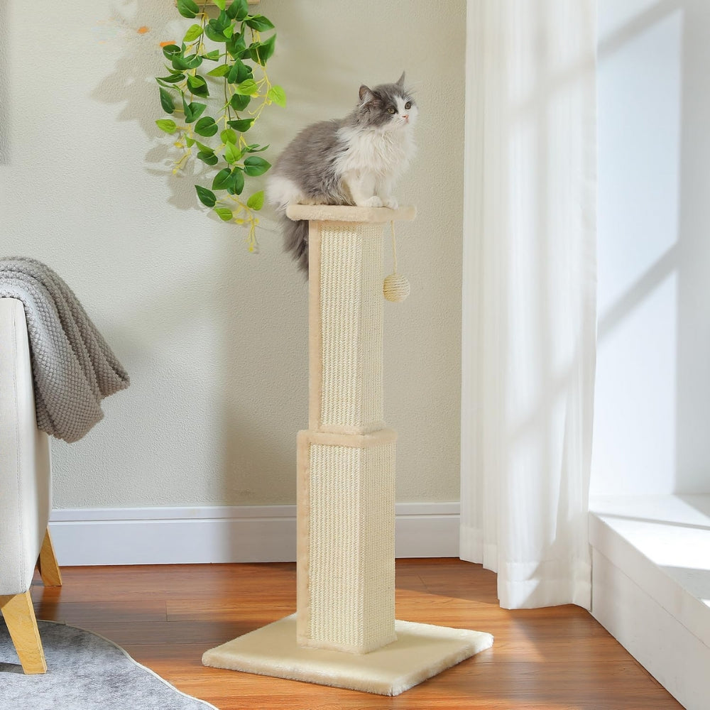80CM Cat Scratching Post for Indoor Cat Scratcher with Nature Sisal Ball