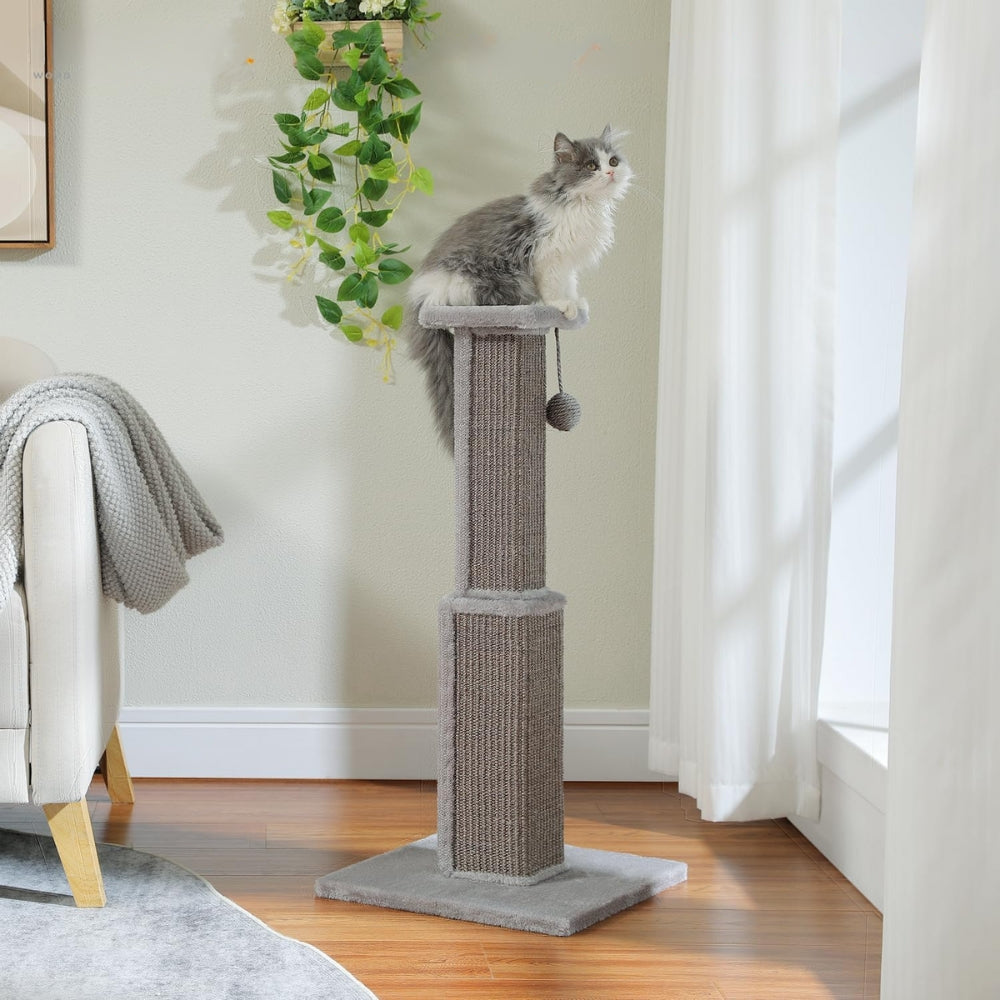 80CM Cat Scratching Post for Indoor Cat Scratcher with Nature Sisal Ball