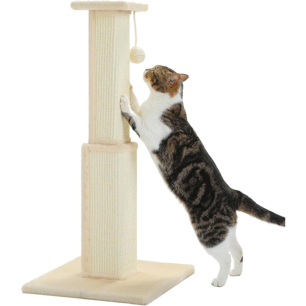 80CM Cat Scratching Post for Indoor Cat Scratcher with Nature Sisal Ball