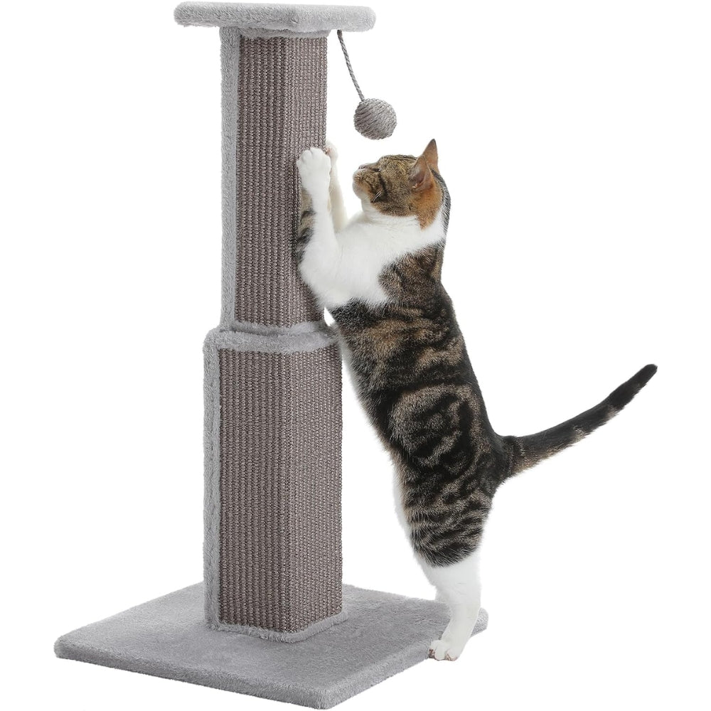 80CM Cat Scratching Post for Indoor Cat Scratcher with Nature Sisal Ball